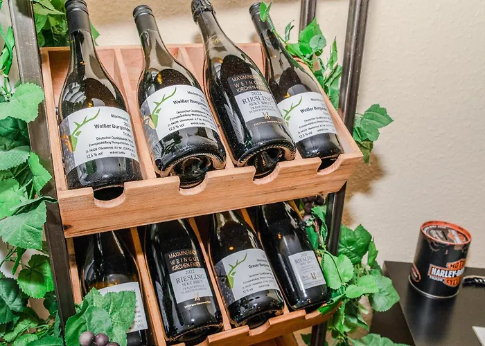 Saar-steg * Saarburg